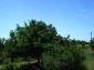 9426:14 - Cheap Bulgarian property with lovely view