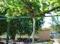 9426:9 - Cheap Bulgarian property with lovely view