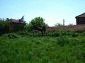 9816:2 - Продается массивный кирпичный дом в красивом болгарском селе