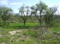 10236:26 - House in veliko tarnovo region only 2km from lake
