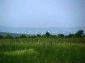 10451:5 - Development bulgarian land suitable for building near Burgas and