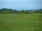 10451:8 - Development bulgarian land suitable for building near Burgas and