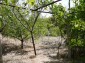 10625:22 - House in Bulgaria - big garden in a hystoric and magical place