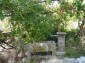 10625:24 - House in Bulgaria - big garden in a hystoric and magical place