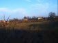 10669:8 - A cheap single-storey house in Dobrich, near the sea