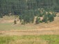 10756:6 - Huge land plot with mountain view, Smolyan Region