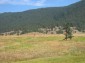 10756:7 - Huge land plot with mountain view, Smolyan Region