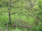 10759:13 - Spacious land plot near the ski resort of Pamporovo