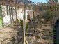 10792:5 - Neat and tidy single-storey house, Elhovo region