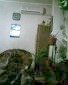 10994:7 - Bulgarian apartment in an eco clean area