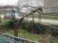10996:19 - Repaired single-storey house, beautifully arranged garden