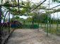 11023:13 - Pretty small rural house with plenty of fruit trees in the yard