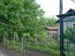 11023:19 - Pretty small rural house with plenty of fruit trees in the yard