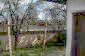 11041:5 - Old house with a tremendous garden plot, Shumen region