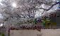 11041:16 - Old house with a tremendous garden plot, Shumen region