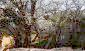 11041:17 - Old house with a tremendous garden plot, Shumen region