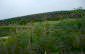 11041:18 - Old house with a tremendous garden plot, Shumen region