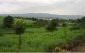 11041:20 - Old house with a tremendous garden plot, Shumen region