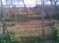 11044:10 - Pretty brick house with a garden featuring many fruit trees