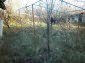 11082:13 - Very cheap functional rural house near Vratsa 