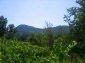 11142:7 - Cheap house at the foothills of the Balkan Mountains near Vratsa