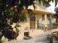 11153:5 - Wonderful renovated rural house near Yambol 
