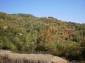 11158:16 - Rural house in an astoundingly picturesque area,Kardzhali