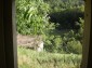11174:21 - Beautiful stone house near Pamporovo,mountain scenery