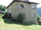11180:7 - Rural house close to a pine forest,Rhodope Mountains