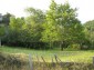 11201:16 - Stone house in a beautiful unspoiled countryside near Kardzhali