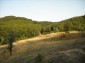 11201:22 - Stone house in a beautiful unspoiled countryside near Kardzhali