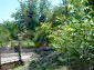 11250:17 - Well maintained rural house with a landscaped garden near Elhovo