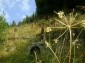 11342:7 - Two-storied house in a breathtakingly beautiful region - Smolyan