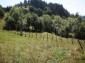 11364:8 - Sunny rural house in a mountainKardzhali region