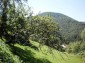 11371:11 - Cheap rural house with splendid mountain view - Kardzhali