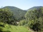 11371:12 - Cheap rural house with splendid mountain view - Kardzhali