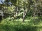 11432:12 - Cozy home with astonishing views near Kardzhali