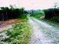 11470:40 - Beautiful rural house after renovation in Yambol region