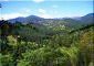 11527:1 - Extensive land plot in the majestic Rhodope Mountains