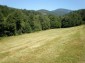 11527:3 - Extensive land plot in the majestic Rhodope Mountains