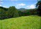 11527:11 - Extensive land plot in the majestic Rhodope Mountains