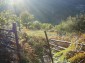 11527:9 - Extensive land plot in the majestic Rhodope Mountains