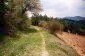 11527:10 - Extensive land plot in the majestic Rhodope Mountains