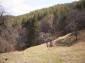 11583:15 - Nice well kept house with a sunny garden near Kardzhali