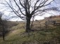 11583:16 - Nice well kept house with a sunny garden near Kardzhali