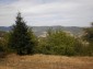 11584:10 - Spacious family house with a large garden near Pamporovo