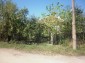 11659:10 - Beautiful house near a small river 35 km from Montana