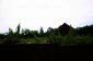 11702:11 - Lovely country house with a huge plot of land near Vratsa