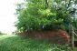 11702:12 - Lovely country house with a huge plot of land near Vratsa