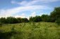 11702:13 - Lovely country house with a huge plot of land near Vratsa